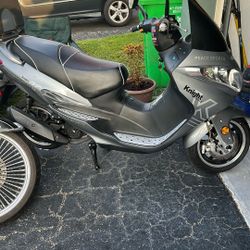 Knight Cruise Scooter 