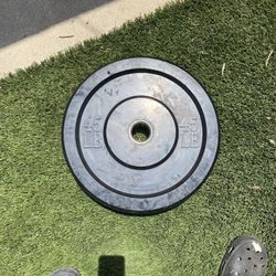 45 Lb Bumper Plate 