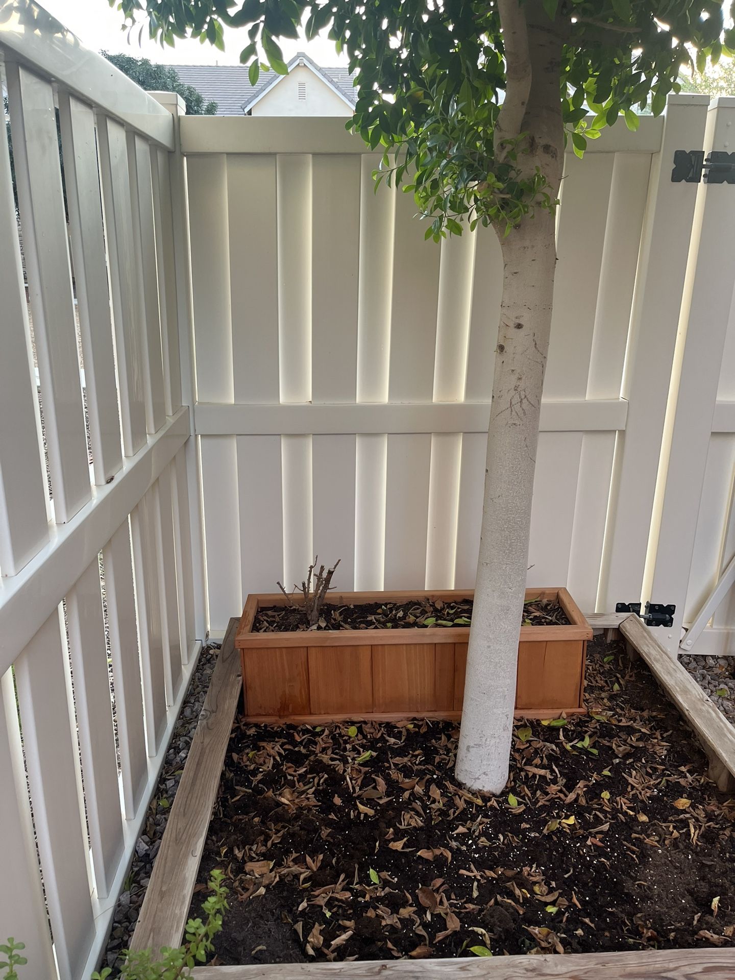Plants Bed and Plants Stand/ $30 Both