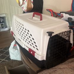 kennel crate 