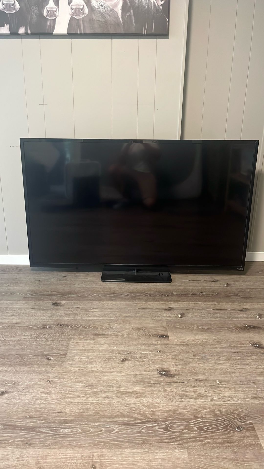 Vizio Tv
