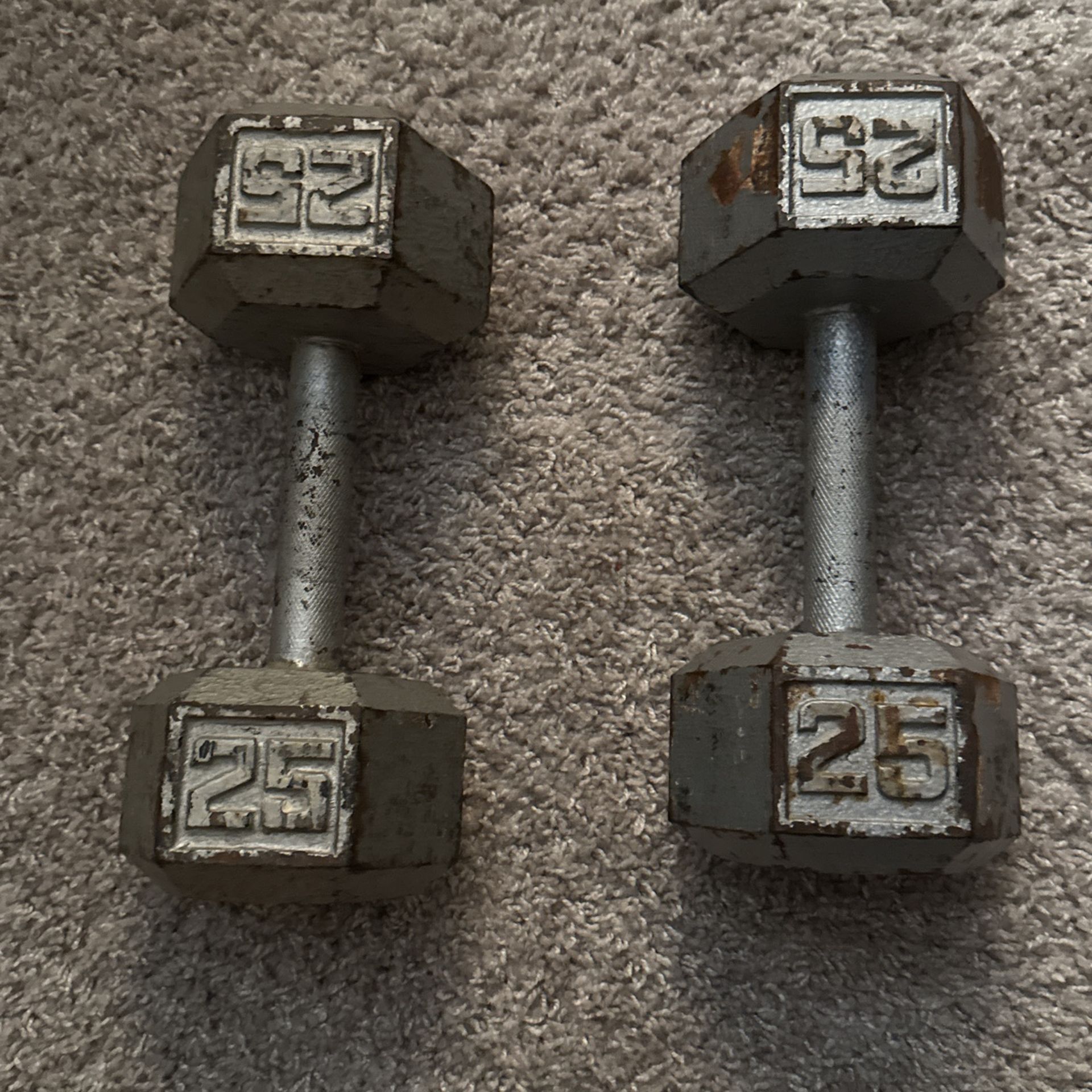 25lb Dumbbells