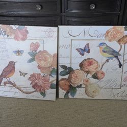 Bird And butterfly Pictures 