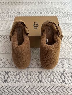 Ugg Shoes