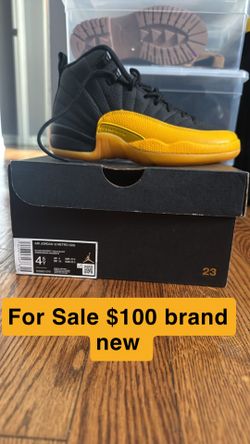 Air Jordan 12 retro