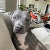 Samantha