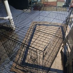 Dog Cage 