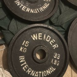 Weider International 33 Pound Weight Plates 