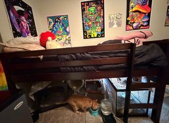 Short loft bed twin/twin XL