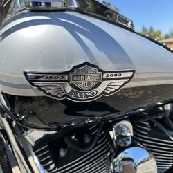 Harley Davidson Softail 100 Year Anniversary Model Only 7,323 Miles Clear Title 