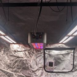 LED Grow Lights