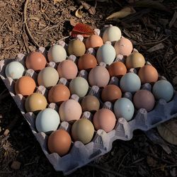 Blanquillo orgánico //organic eggs