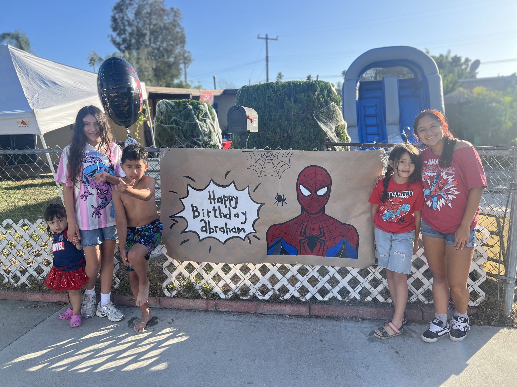 Spider Man Banner