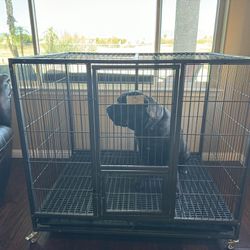 Dog Crate (make Offers Need Gone)