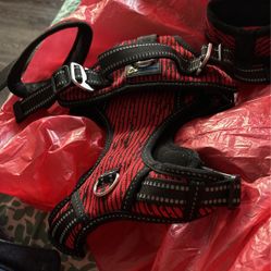 Coodeo Arnés de elevación para perros, soporte y recuperación,...