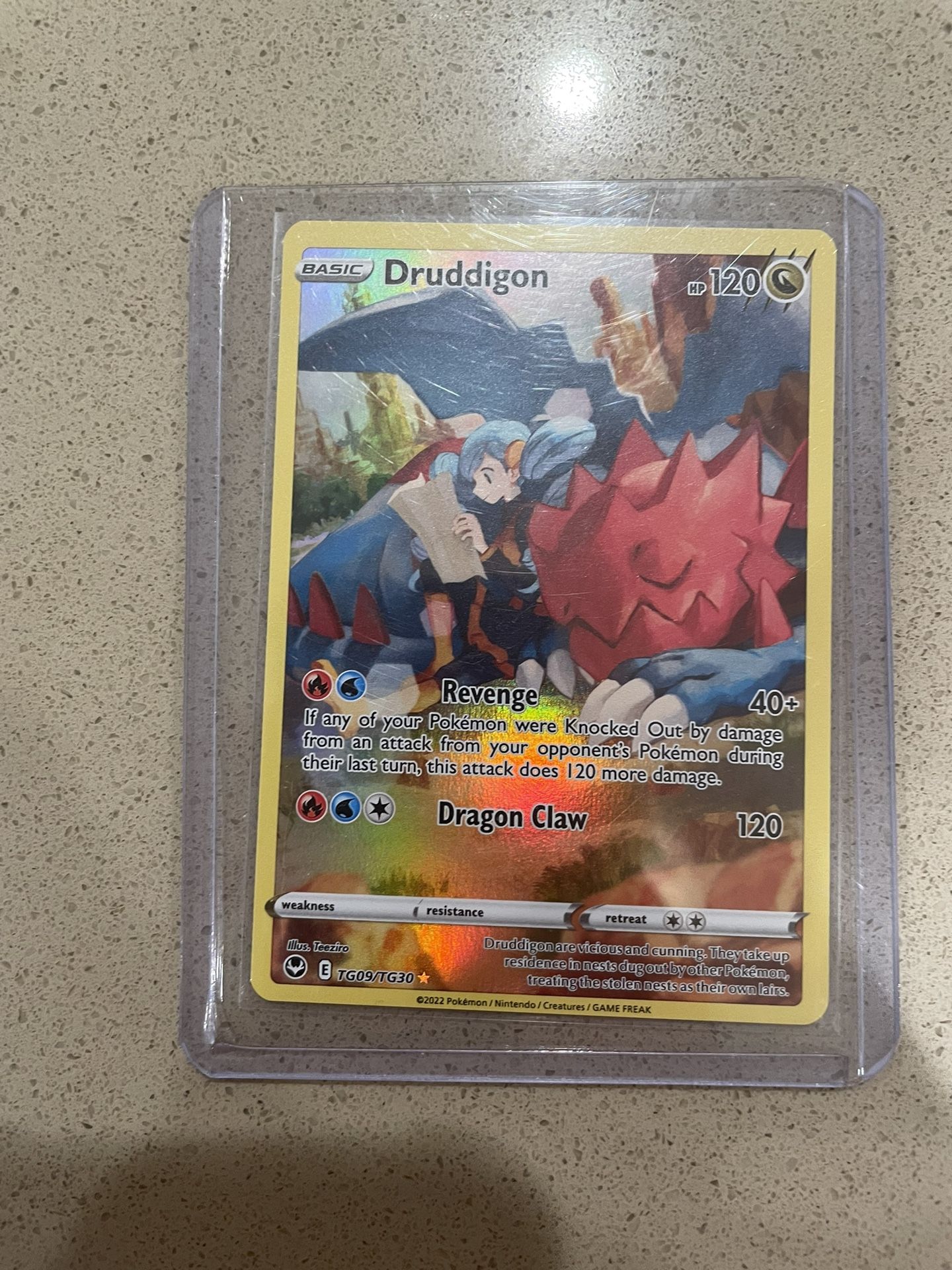 Druddigon Trainer Art