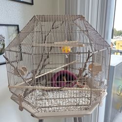 Modern Bird Cage.