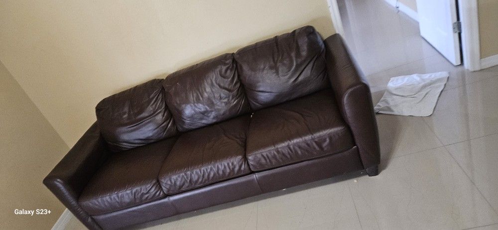 Pull Out Couch