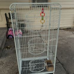 Bird Cage