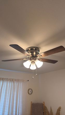 Fan