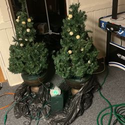 Light Up Christmas Trees That Play Music