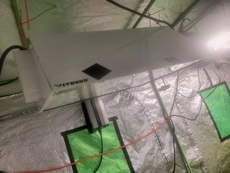 VIVOSUN 1000 Watt HPS MH Digital Dimmable Grow Light System
