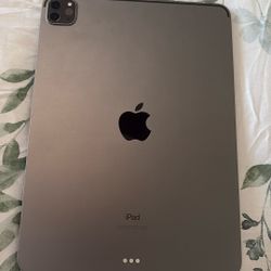iPad Pro 11-inch w/ Apple Pencil
