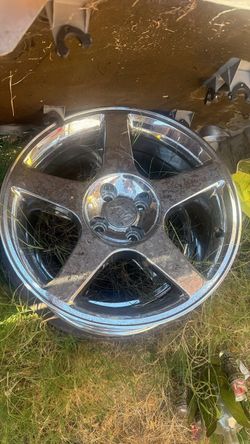 Wheels & Rims