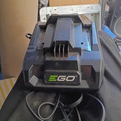 Ego 56 Volt Charger Made June 2024 Never Really Been Used