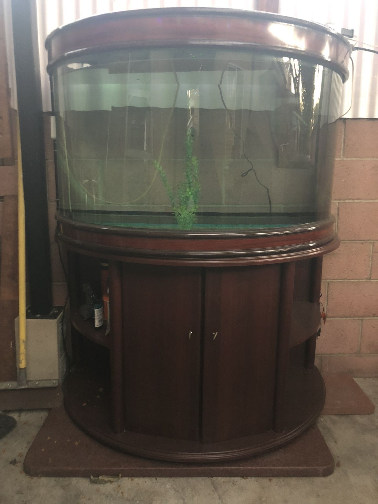 80 Gallon Glass Fish Tank