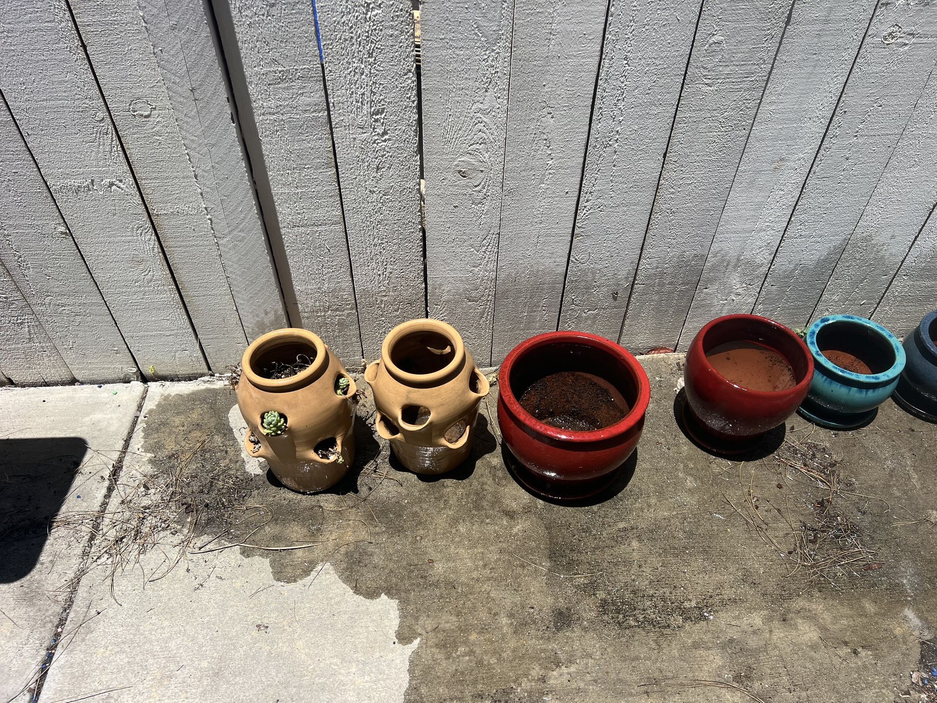 Multiple Flower Plant Succulent Pots