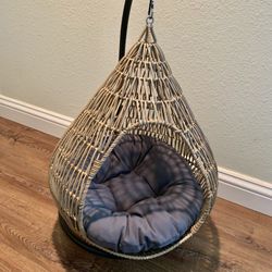 Cat Swing  
