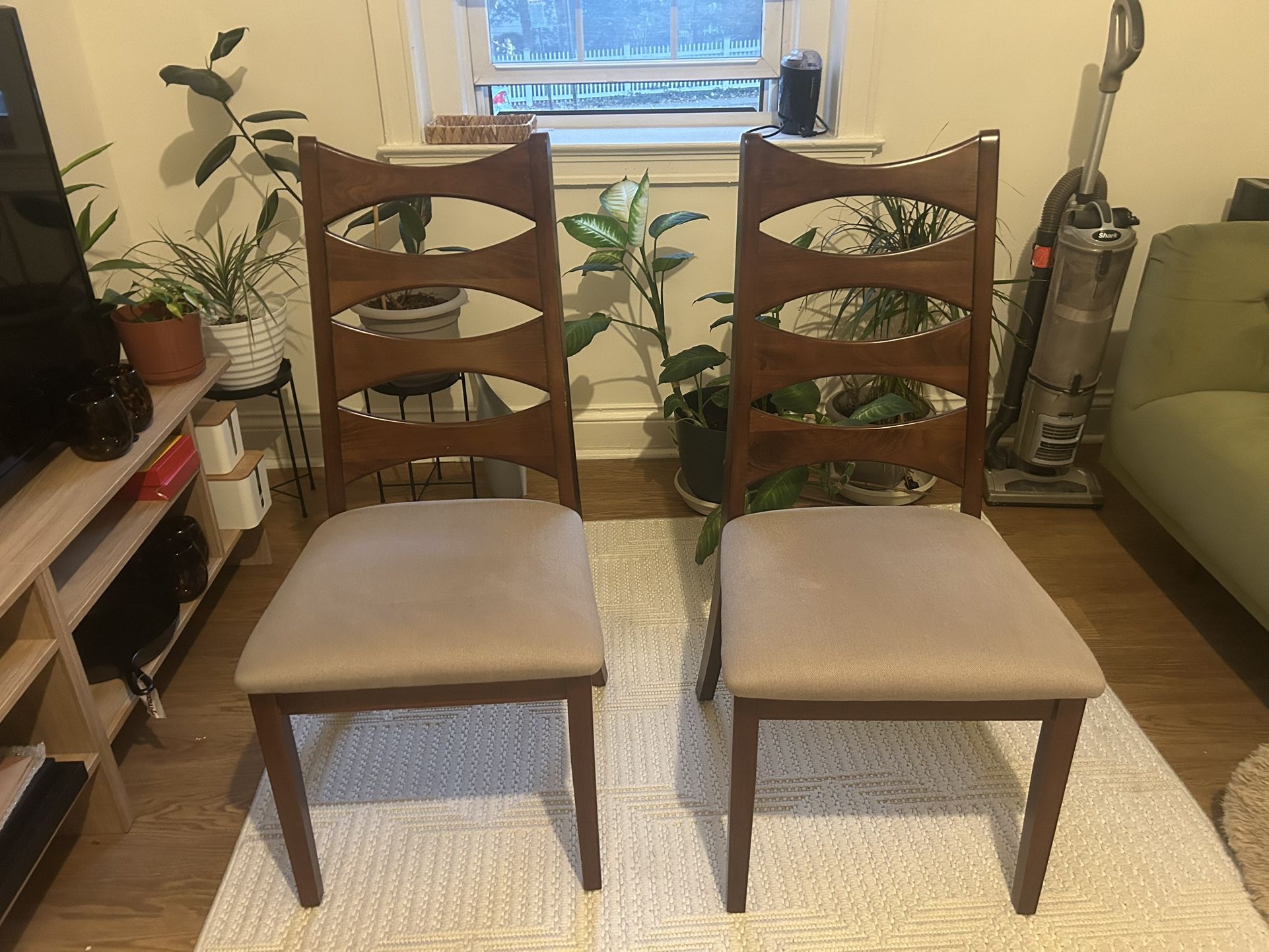 Dining Chairs