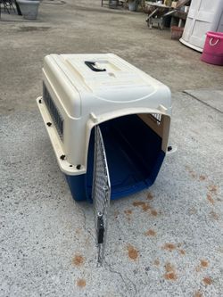 Pet Kennel