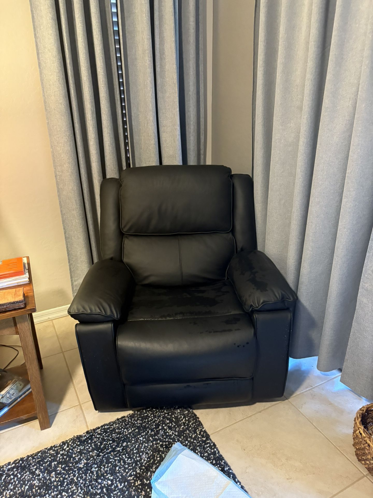 Electric Recliner/Lift Chair
