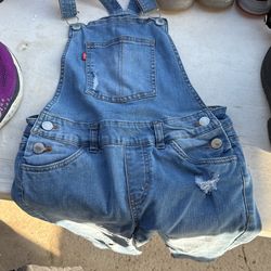 Levi’s Overalls 