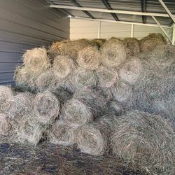 Horse Hay For Sale