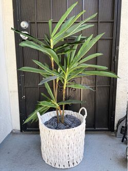 Artificial plants
