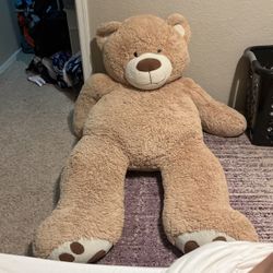 Huge Teddy Bear