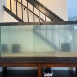 Fish Tank 40 Gallon With Stand