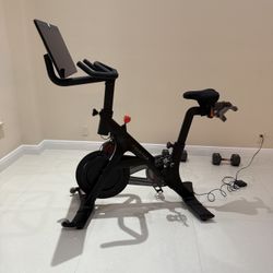 Peloton + 'plus' swivel screen. 20 rides.