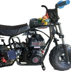 Predator 212 Mini-Bike