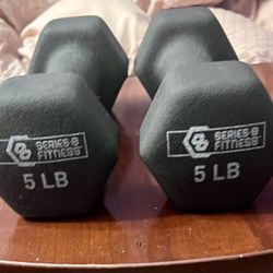 Exercise Weights