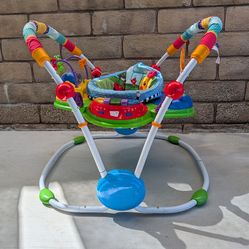 Baby Einstein Jumper