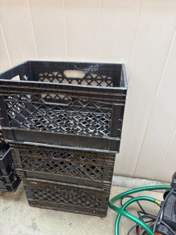 3 baskets for $10