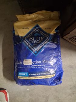 Dog food