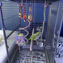 Parrot Cage 69 Inches 