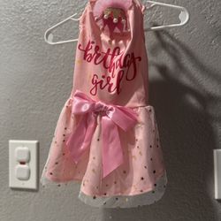 Medium Size Outfit For Dog Or Cat 