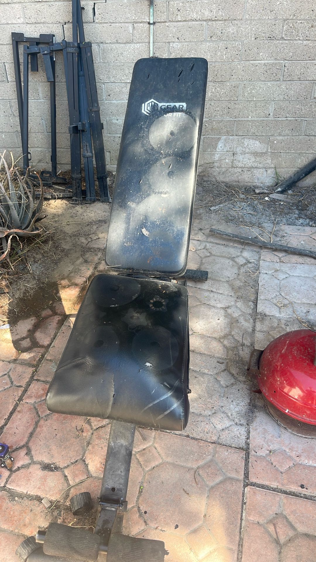 Free Weight Bench 