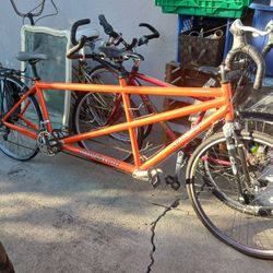 Co-motion Roadster Tandem Bike